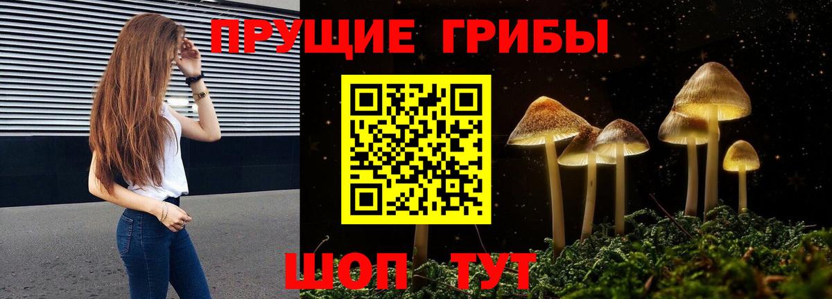 Галлюциногенные грибы Magic Shrooms  Галлюциногенные грибы Cubensis  Звенигород  Вход с VPN 